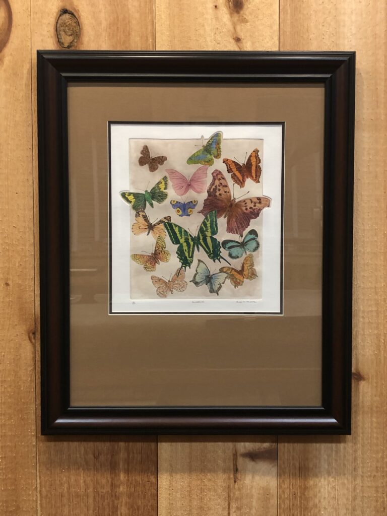 framed image of multiple butterflies